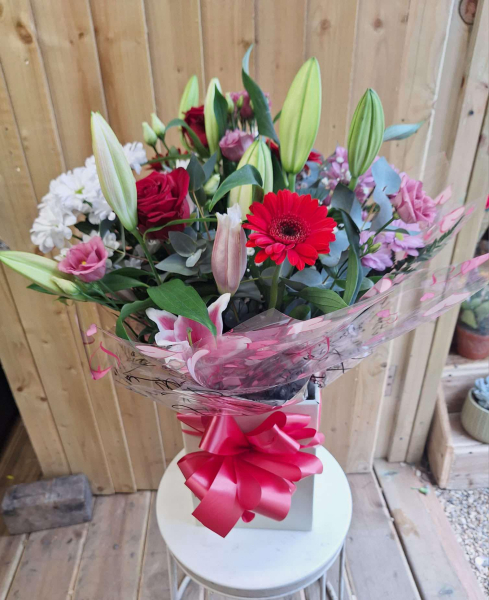 Just kim just because