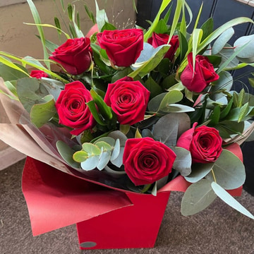 Simply red roses