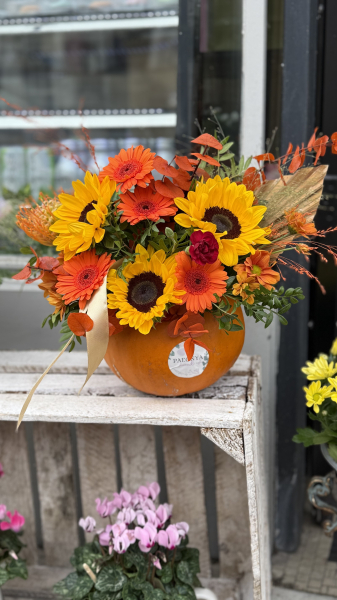 Pumpkin arrangement