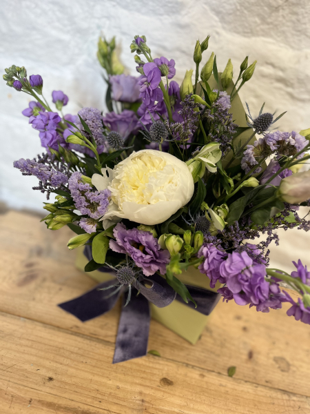 Lavender