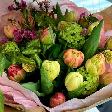 Petite tulips