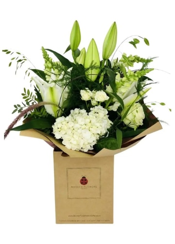 White rose hydrangea