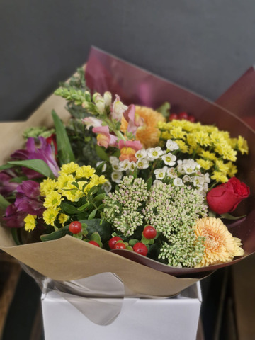 Wild garden mix