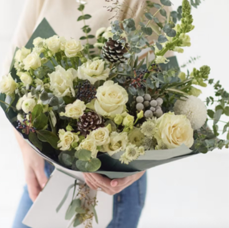 Serene shades of winter b