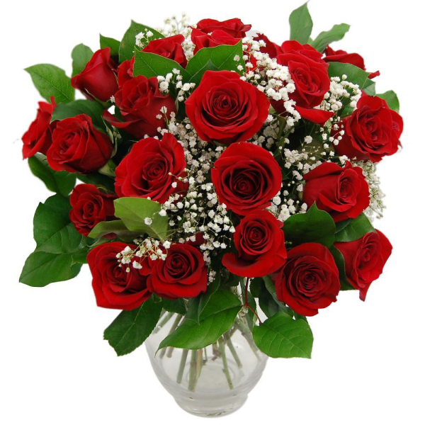 Promise 24 red roses