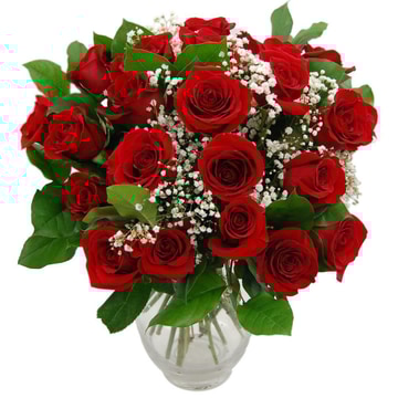 Promise 24 red roses