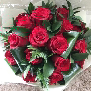 Classic red roses