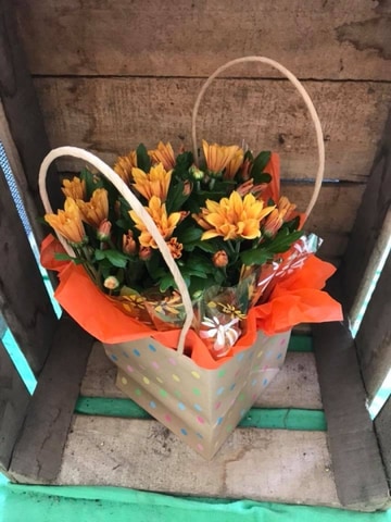 Chrysant lg plantgift bag