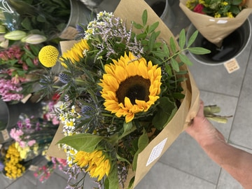 Golden meadow sunburst