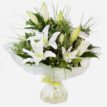 The lily classic