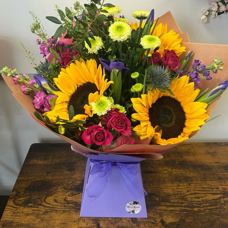 Bight summer sunflower