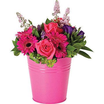 Candy pink chelsea