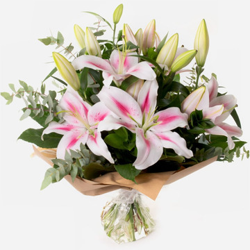 Simple pink lilies