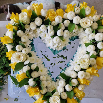 Yellow-white open heart