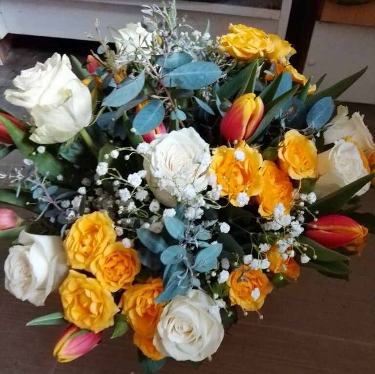 Tulip delight