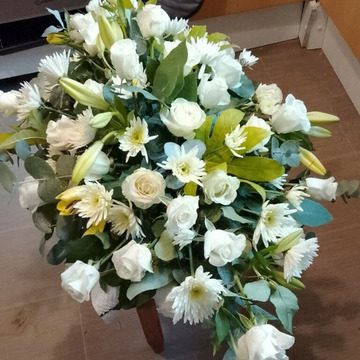 Peace and white