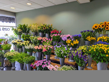 Florist choice box