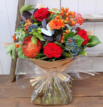 Autumn burst