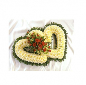 Double open heart
