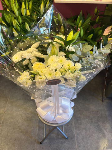 Ivory elegance