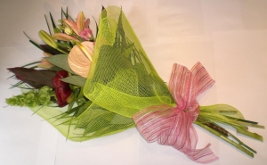 Modern mesh gift wrap
