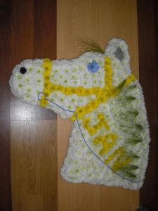 Horse head