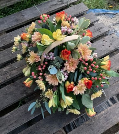 Harvest garden