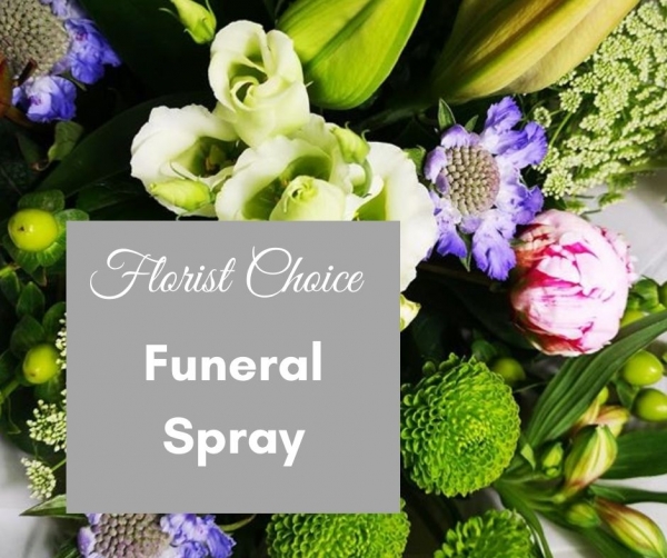 Florist choice spray