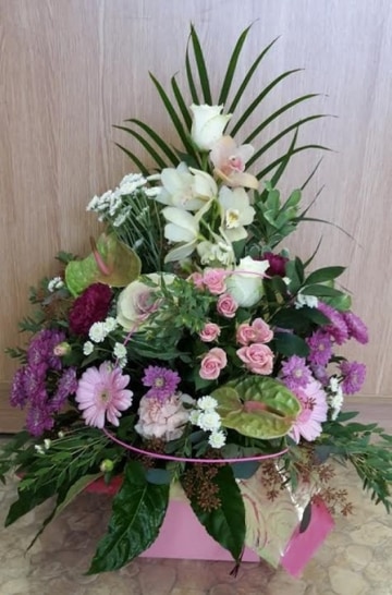 Pinks and purples