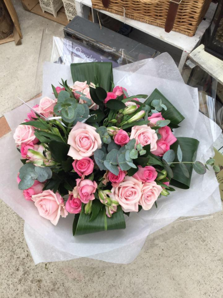 Pink rose paradise