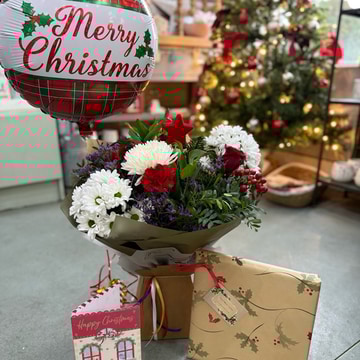 Merry christmas package