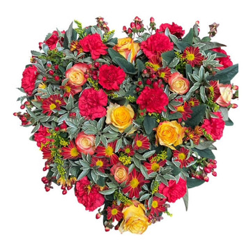 Mixed heart