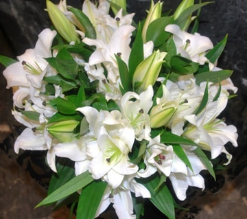 Lily handtied bouquet