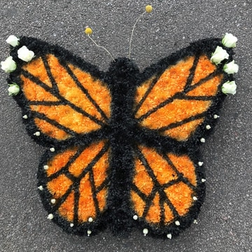 Monarch butterfly