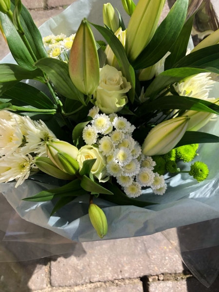 Lily heaven