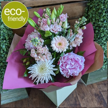 Natures bliss eco