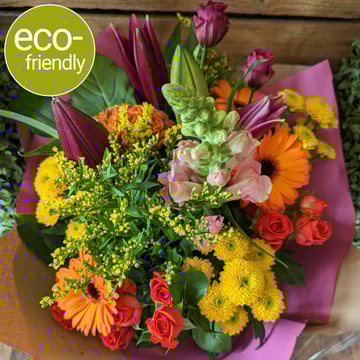 Vibrant gift box eco