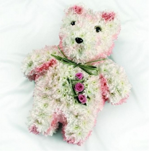 Pink teddy