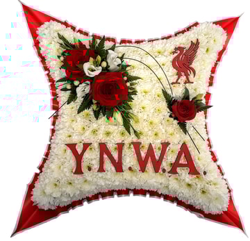 Ynwa cushion