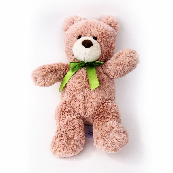 Teddy bear