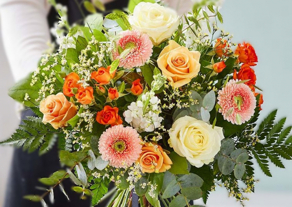 Rose gerbera