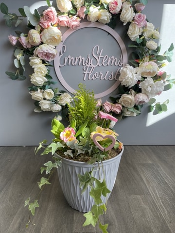 Planted arrangement