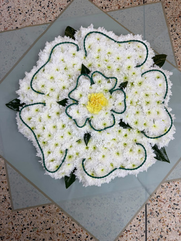 White rose of york