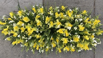 Daffodil casket spray