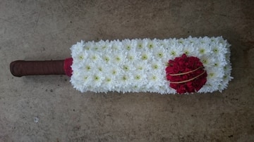 Cricket bat