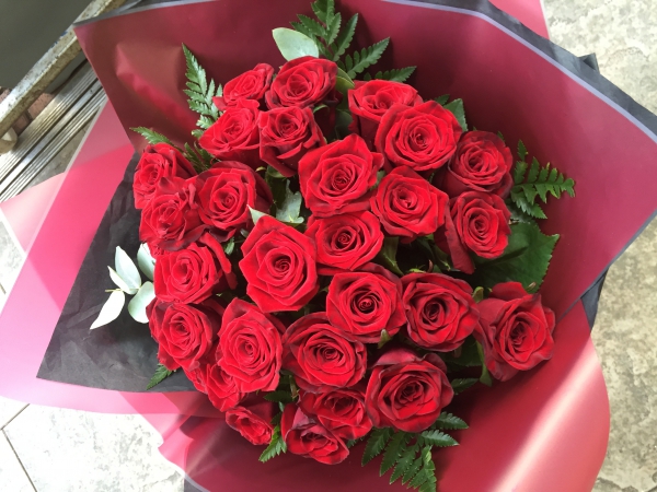 24 velvet roses