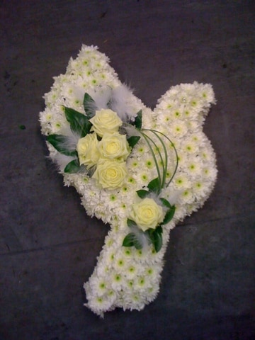 Dove tribute