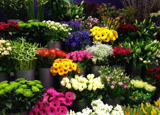 Florist choice