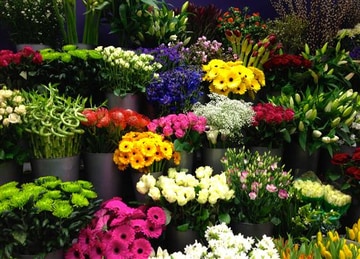 Florist choice