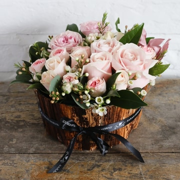 Rose delight